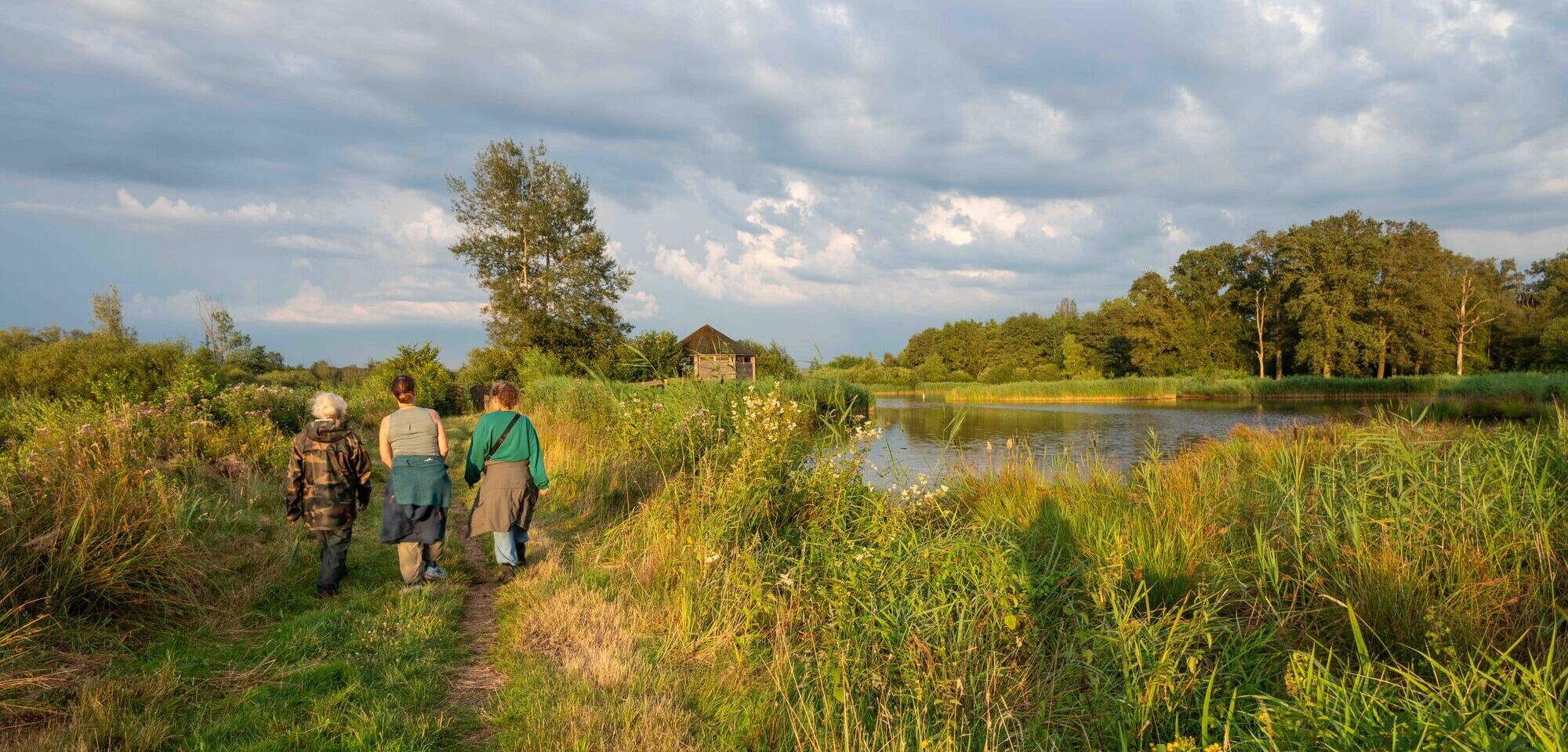 Kempenbroektrail