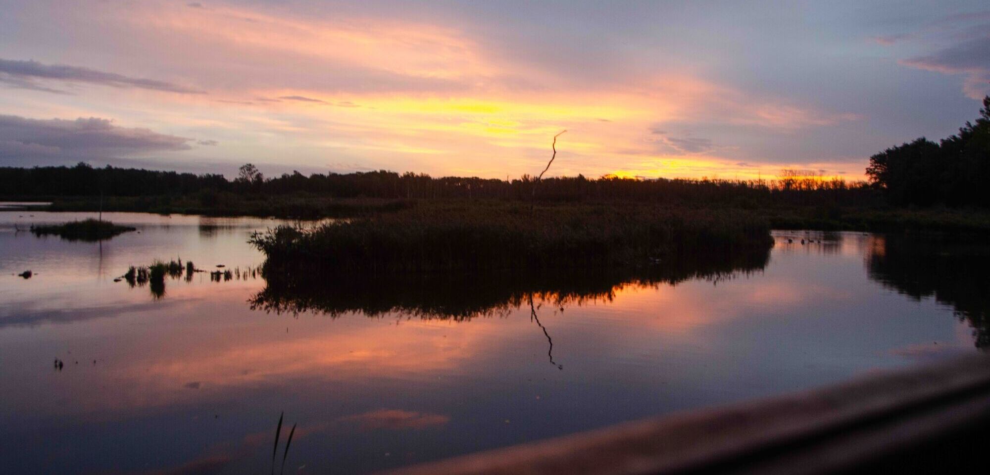 Natuurfotografie alom
