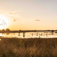 De Groote Heide Kluis Hamont- Achel