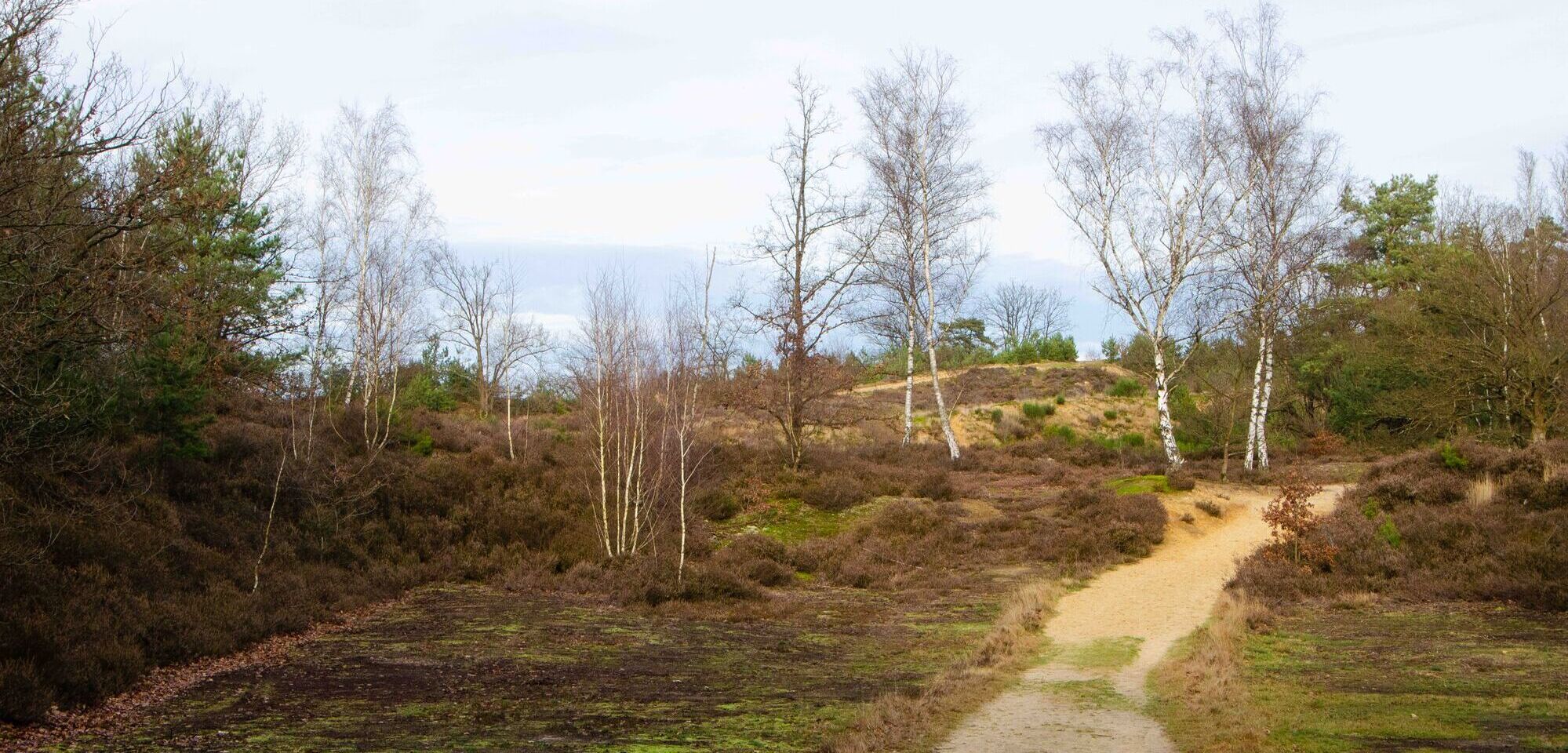 Nationaal Park Trail 110 km lange afstandswandeling