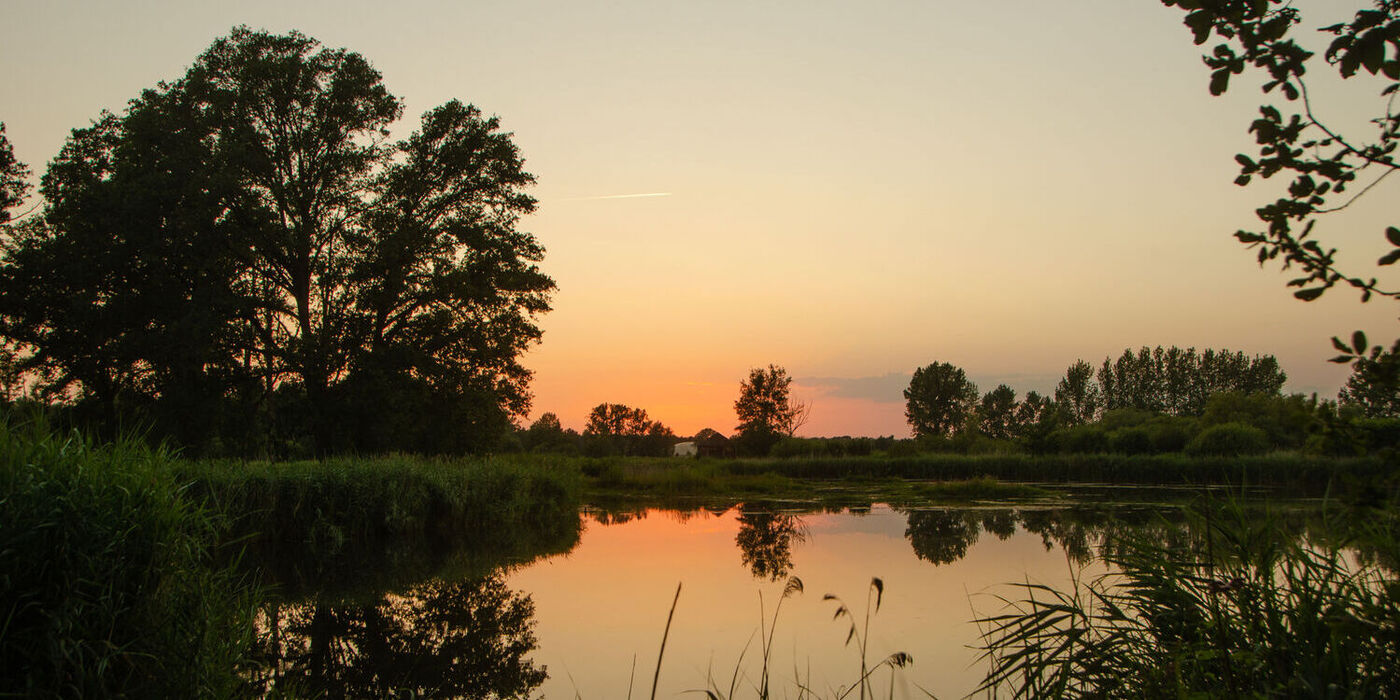 Schemering in het Kempenbroek