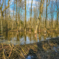 Nationaal Park Trail 110 km lange afstandswandeling
