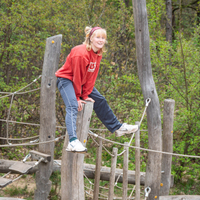 Speelnatuur in het Joekelbos