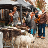 Gezellige Geschenkenmarkt aan de Binkermolen, 5de editie