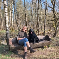Donderslaghei, Ophovenerbos en Kluisberg