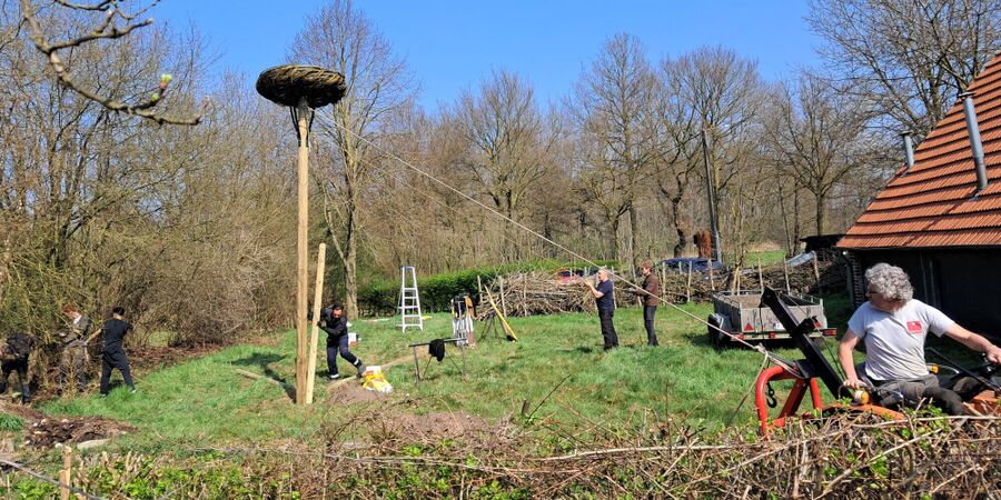Een tuin vol natuur