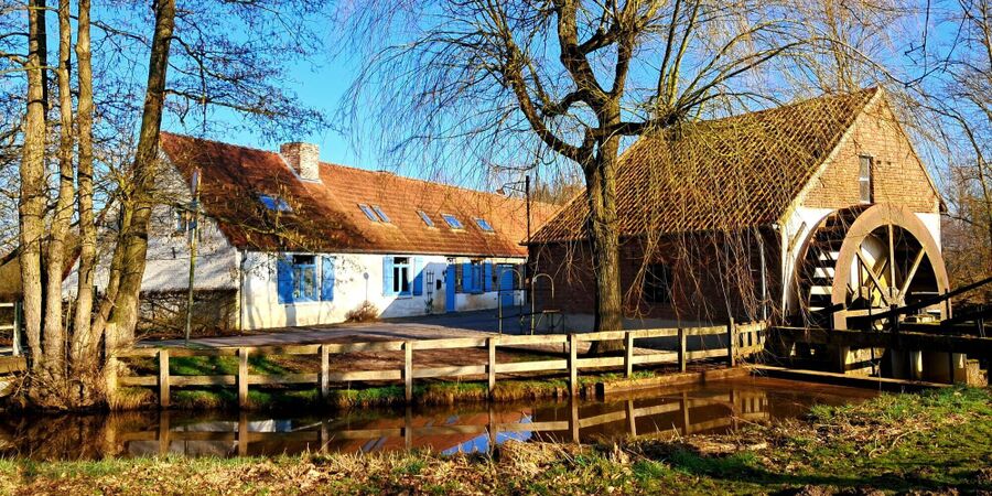De Luysmolen, een rijk verleden