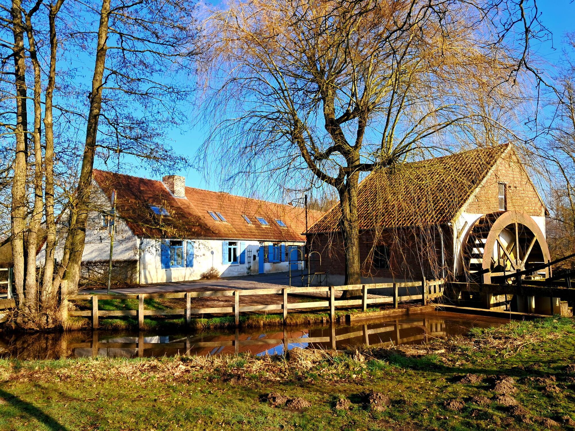 Last minute krokusvakantie!